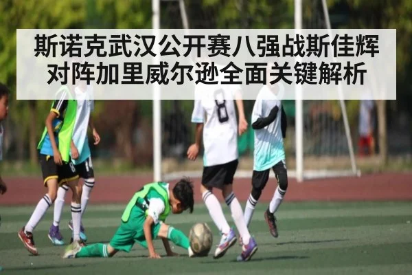斯诺克武汉公开赛八强战斯佳辉对阵加里威尔逊全面关键解析